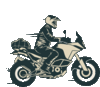 Cruising Biker