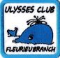 Branch Patch